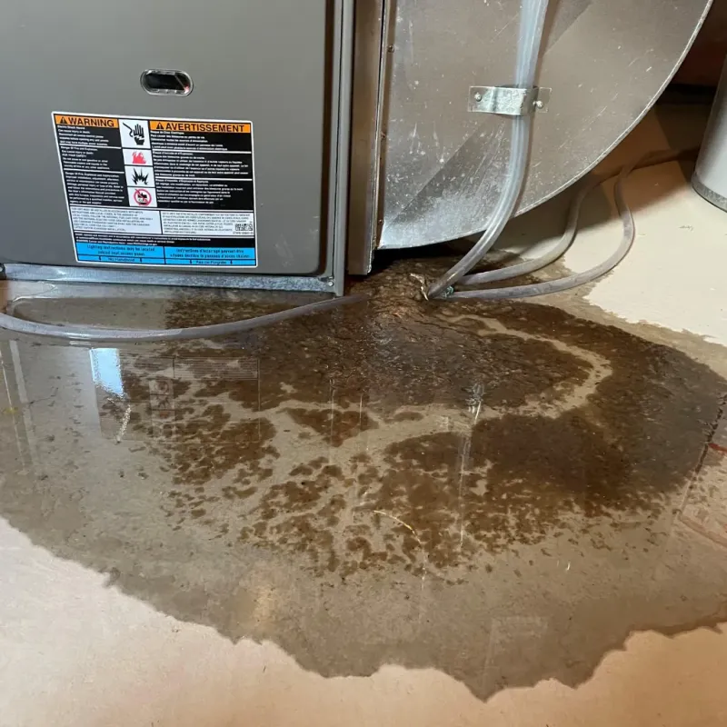 Appliance Leak Cleanup in Routt County, CO