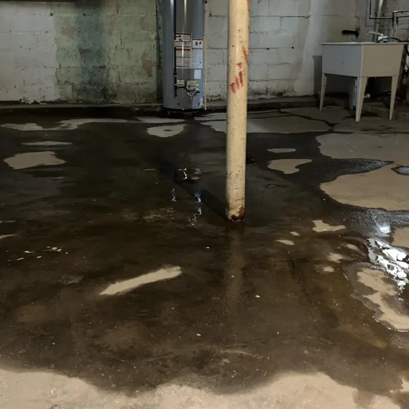 Emergency Water Extraction And Removal in Routt County, CO